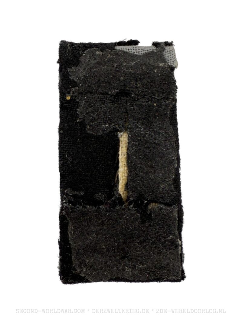 German dress tunic (Waffenrock) insignia - Image 2