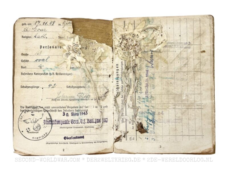 Wehrmacht Soldbuch 1944 - Image 3